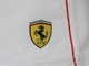 Camiseta Ferrari Logo Tee II 560953