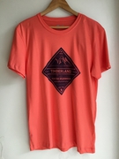 Camiseta Timberland Triangle Mountain