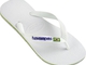 Havaianas Logo Brasil