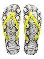 Havaianas Slim Animals Fluo