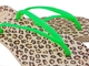 Havaianas Slim Animals Fluo - oncinha