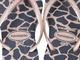Havaianas Slim Animals Gold