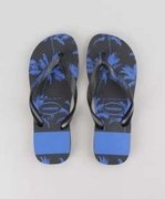 Havaianas Top Coqueiro