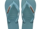 Havaianas Logo Metallic